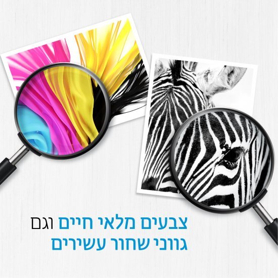 תצוגה